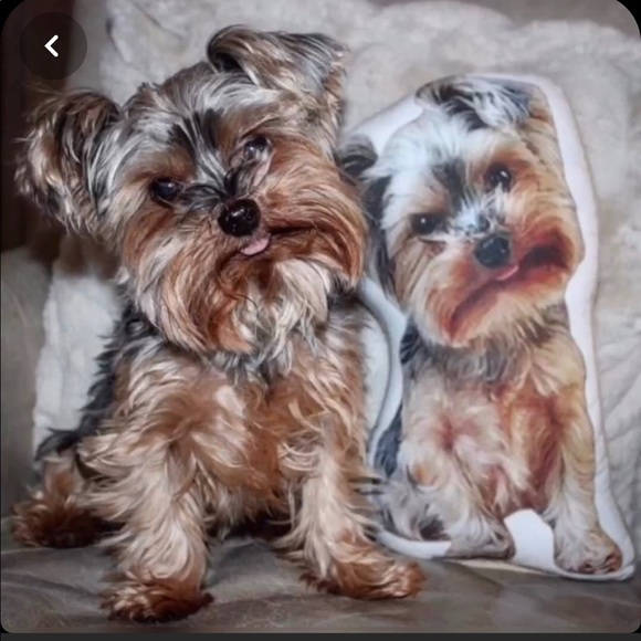 Custom Pet Pillow - Picture 3 of 7